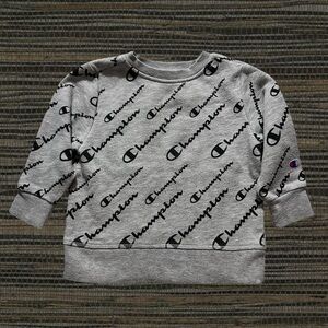 Champion Crewneck Sweater